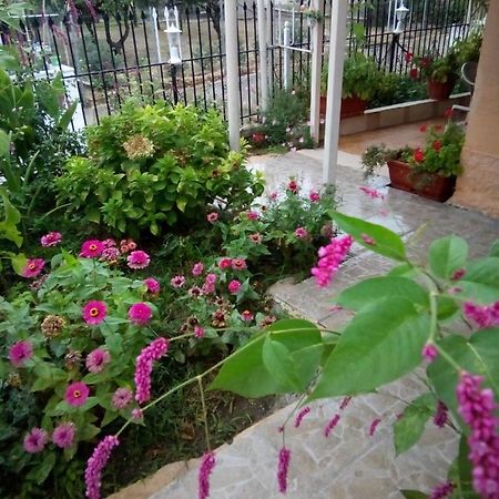 Villa Angela, Traditional Villa In The Village Agios Ioannis Peristerion 외부 사진