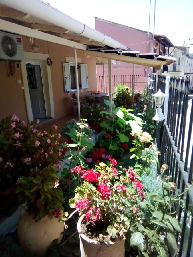 Villa Angela, Traditional Villa In The Village Agios Ioannis Peristerion 외부 사진